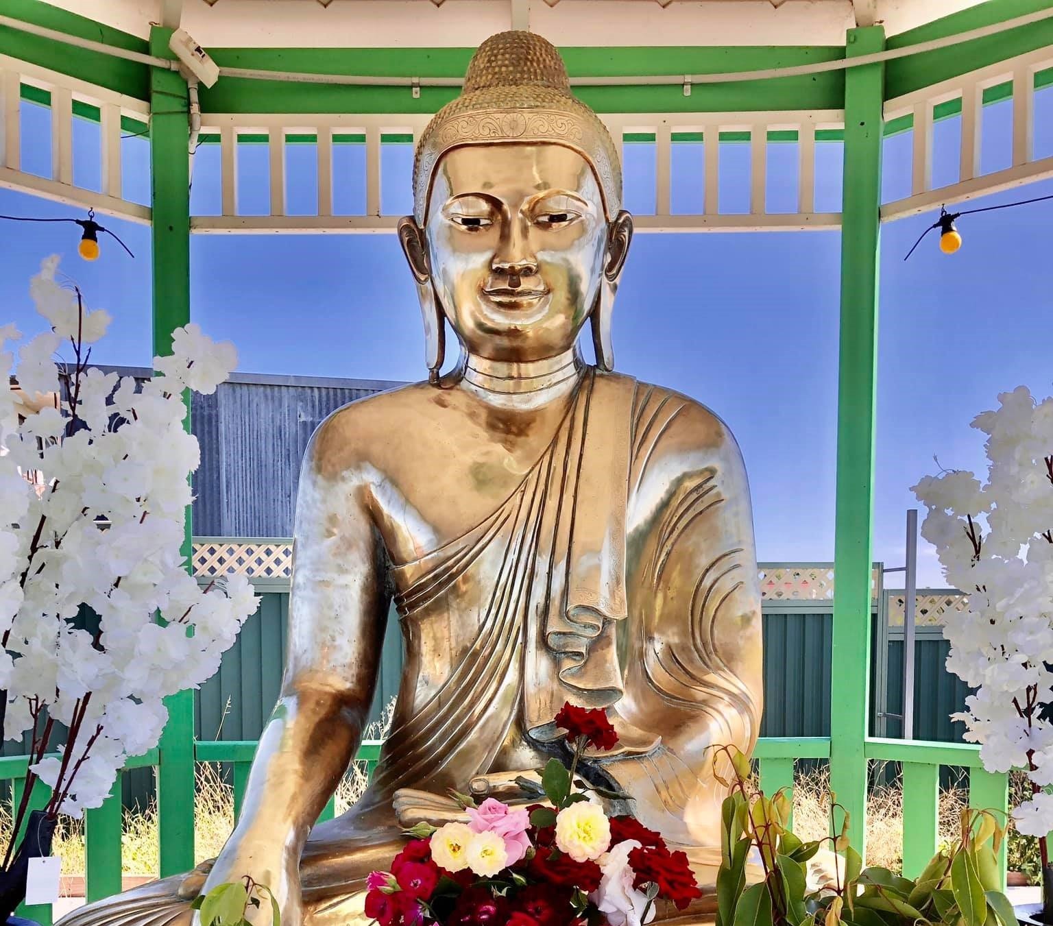 93845680_10158518885904459_7167036786105909248_n