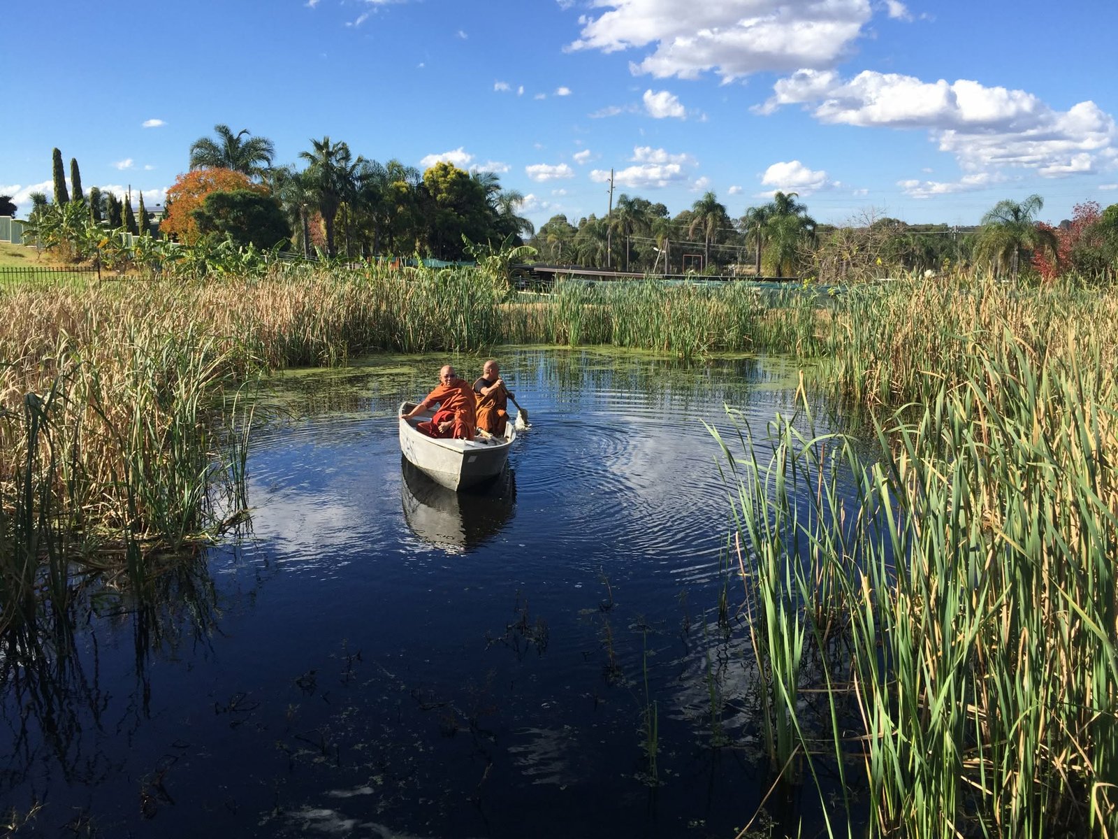 daa219ed-f0e8-4efa-909f-2924adc4f61a